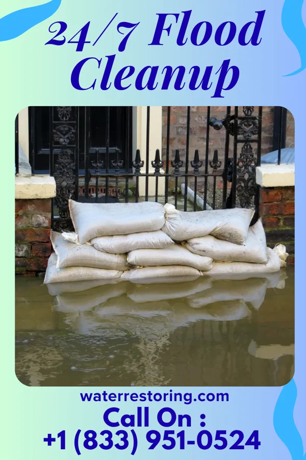 24/7 Flood Cleanup in Nutter Fort, WV