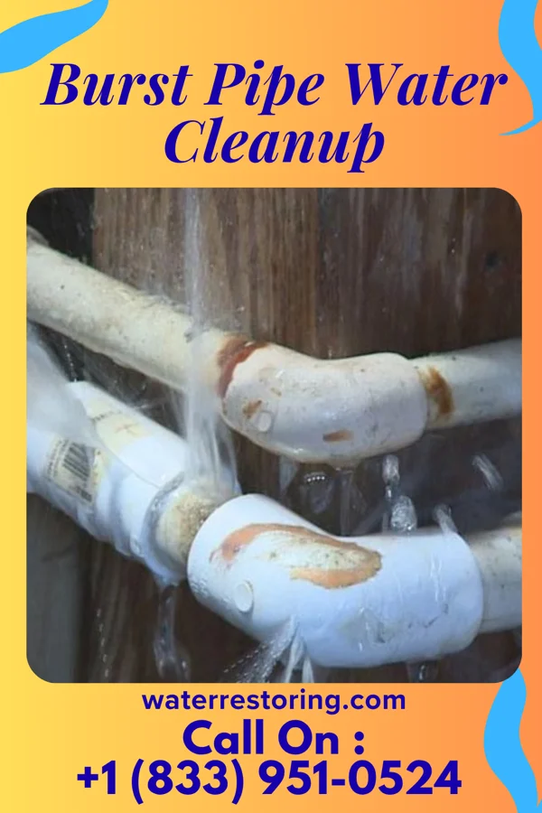 Burst Pipe Water Cleanup in Nutter Fort, WV