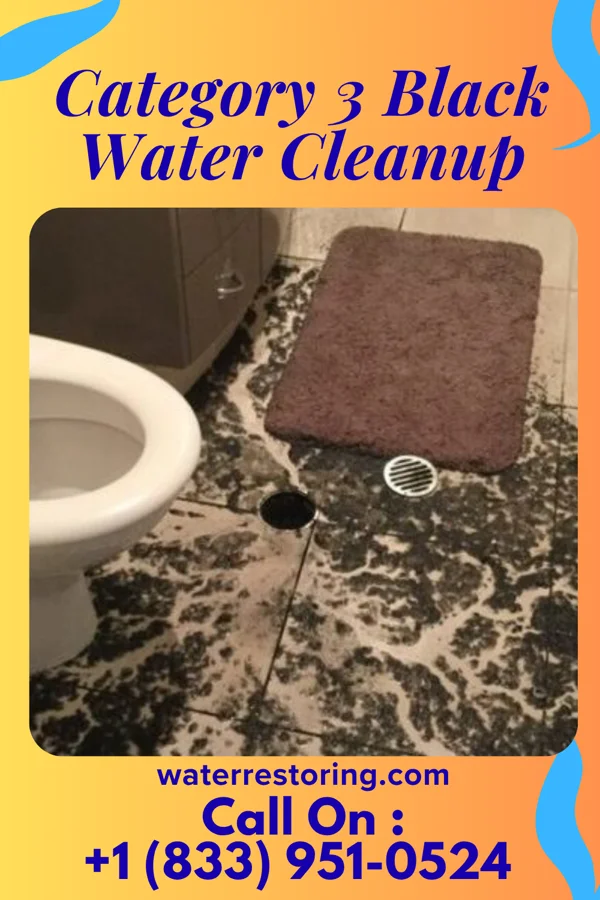 Category 3 Black Water Cleanup in Nutter Fort, WV