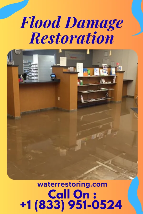 Flood Damage Restoration in Nutter Fort, WV