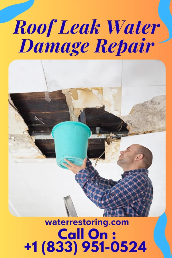 Roof Leak Water Damage Repair in Nutter Fort, WV