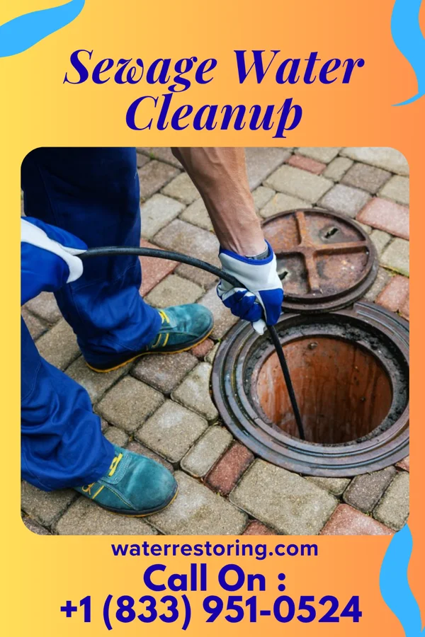 Sewage Water Cleanup in Nutter Fort, WV