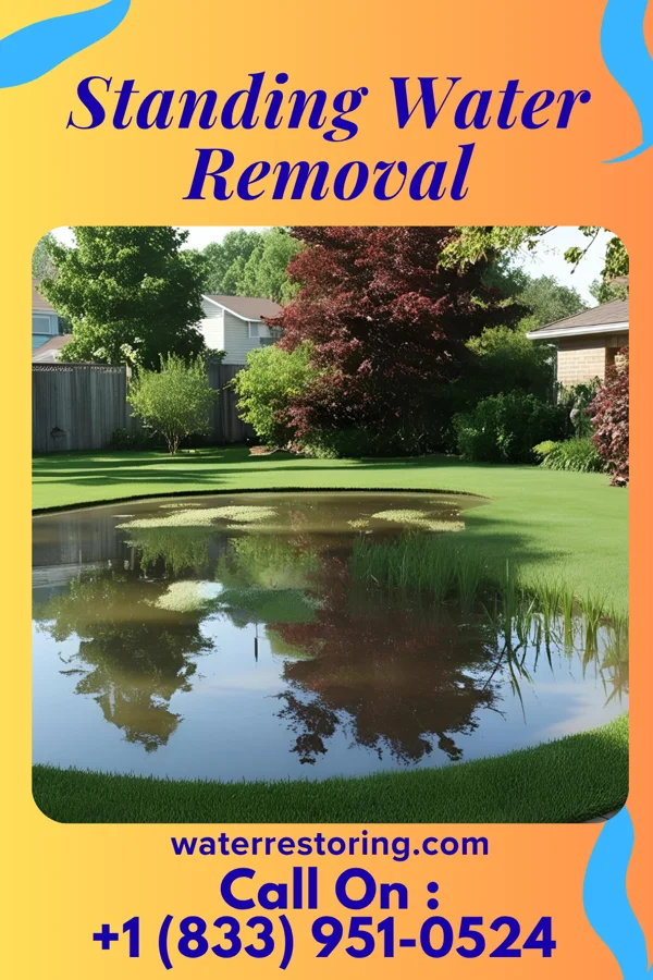 Standing Water Removal in Nutter Fort, WV